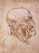 LEONARDO da Vinci Profile of an old man oil painting picture wholesale